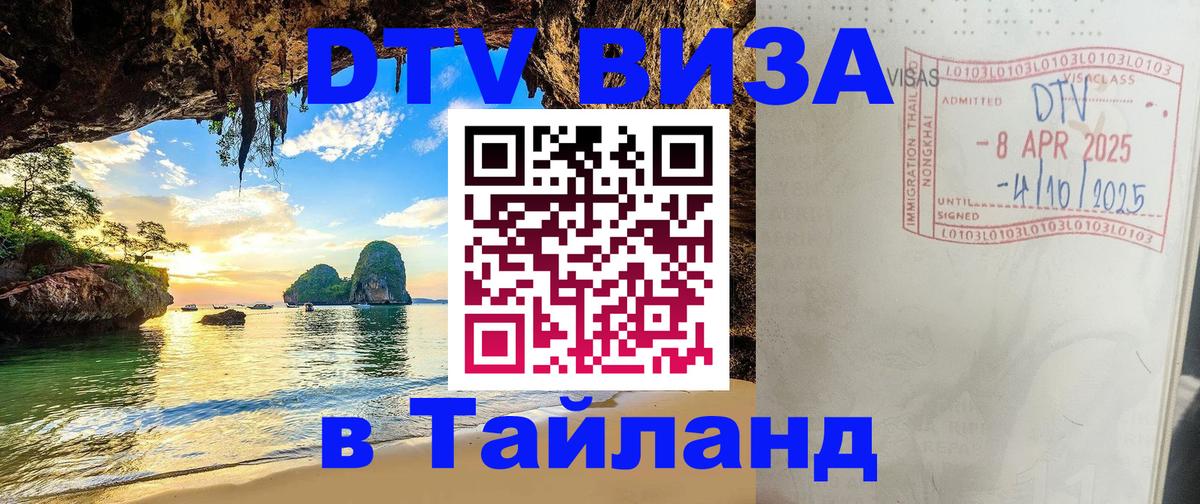 Оформление DTV визы под ключ: стоимость и тарифы, только загранпаспорт - 
